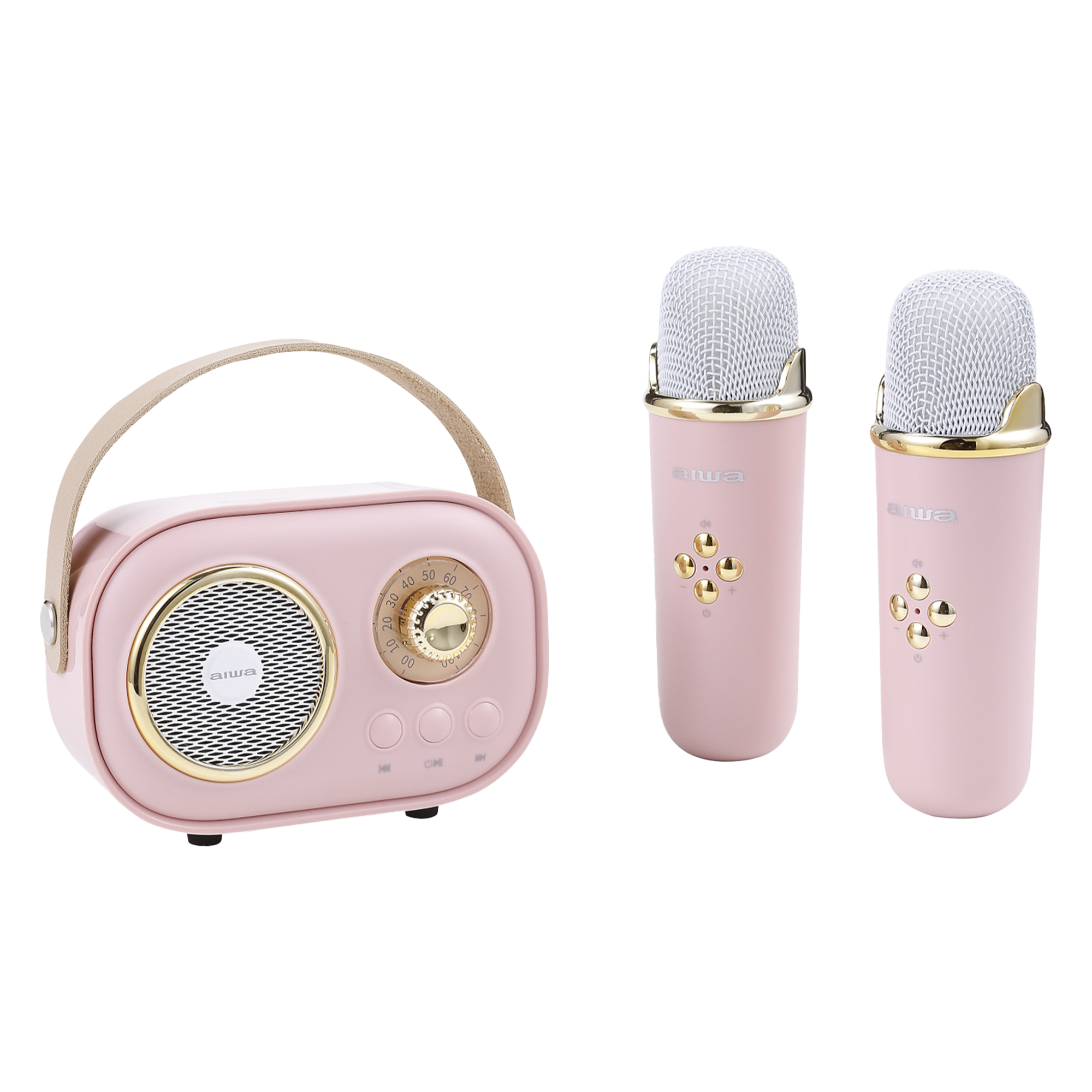 Wireless Light-Up Karaoke Speaker with Two Microphones