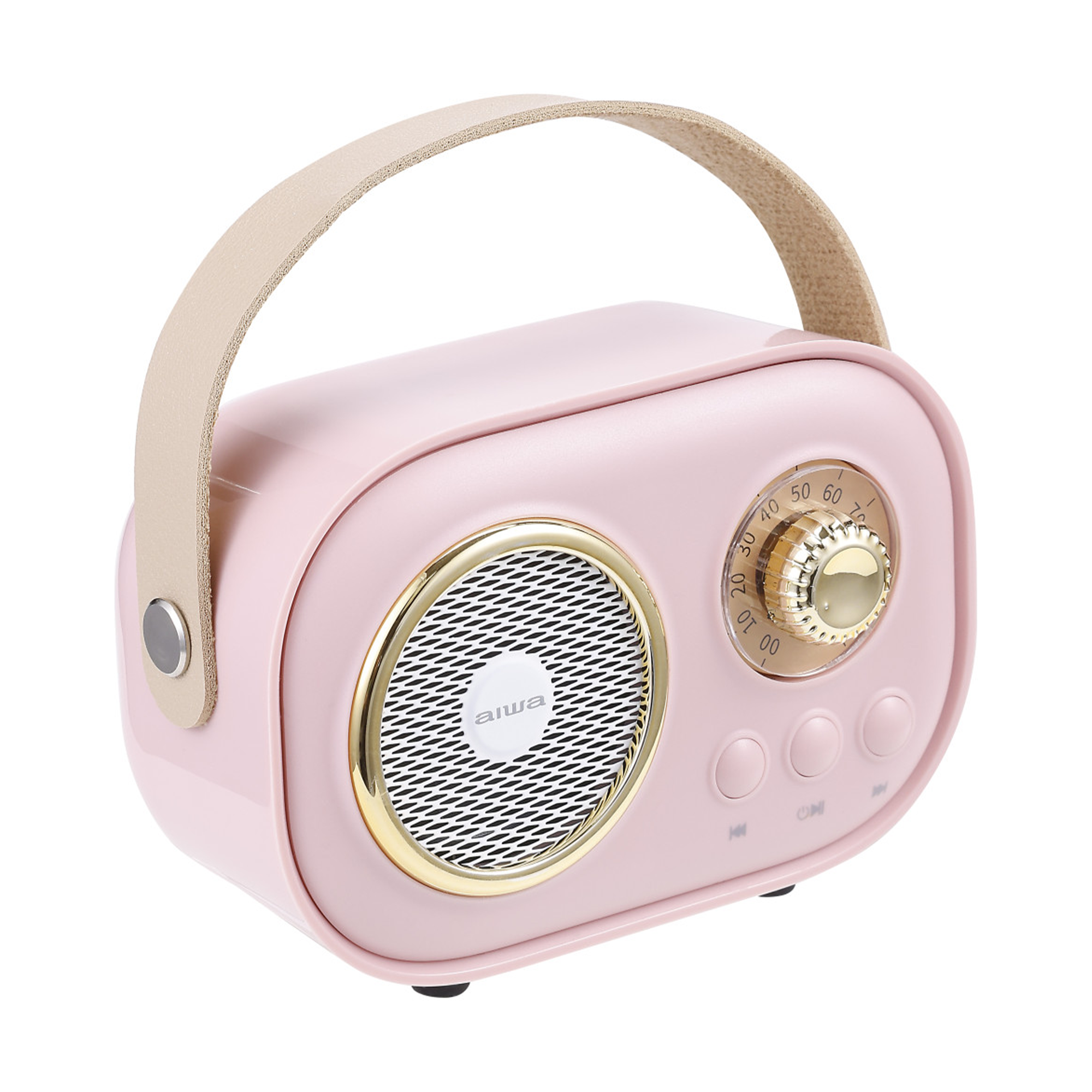 Wireless Light-Up Karaoke Speaker with Two Microphones