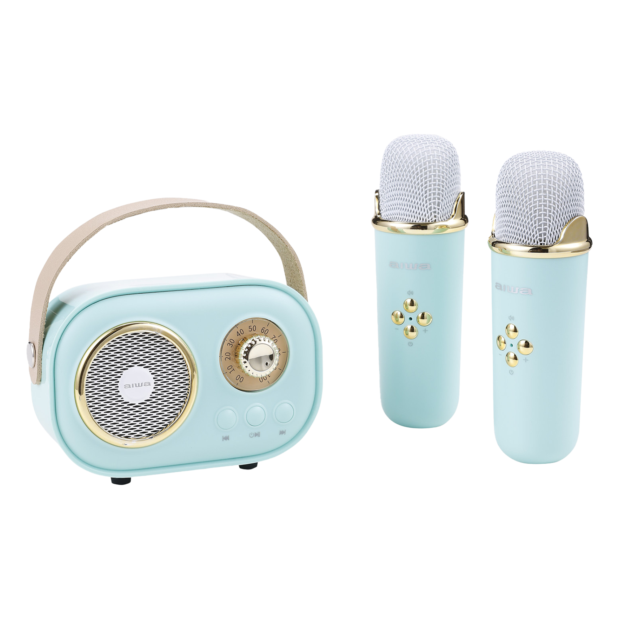 Wireless Light-Up Karaoke Speaker with Two Microphones