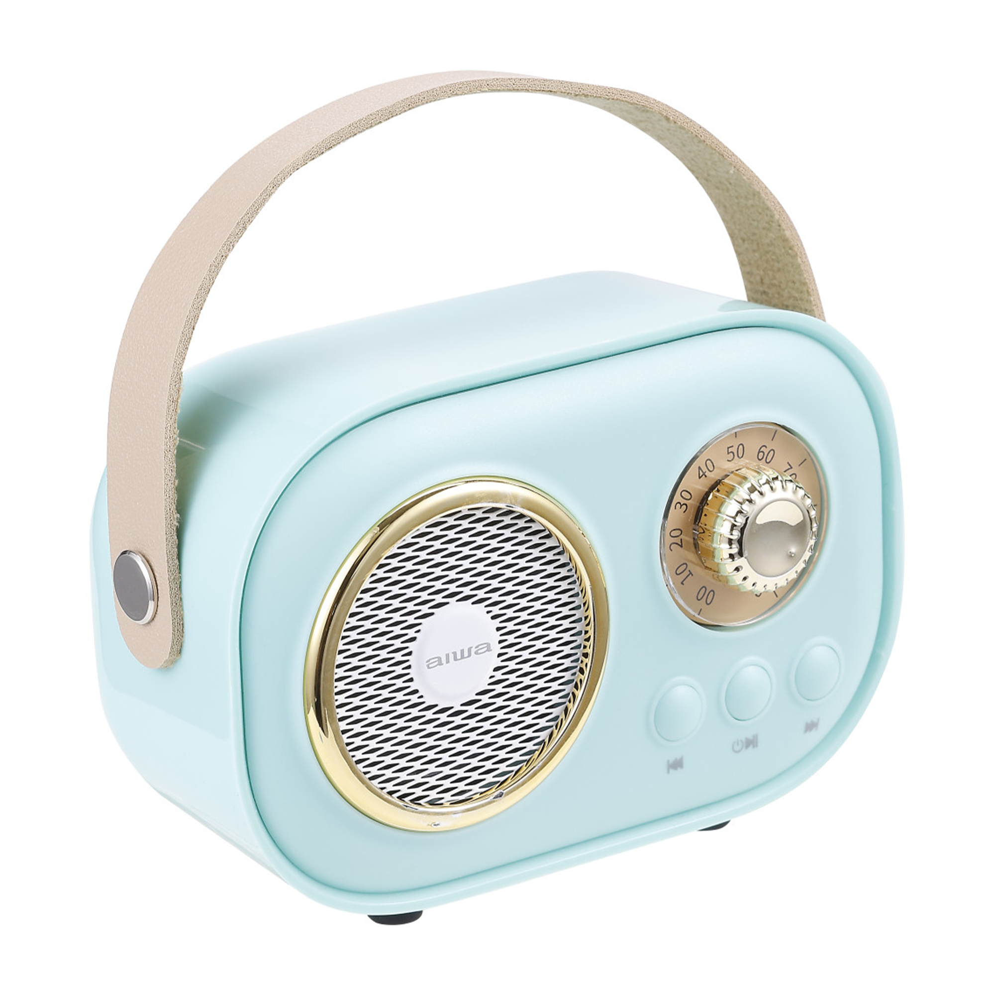 Wireless Light-Up Karaoke Speaker with Two Microphones