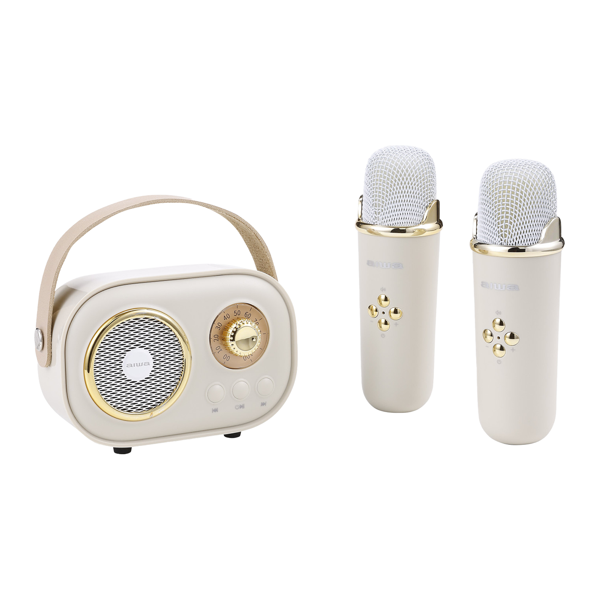 Wireless Light-Up Karaoke Speaker with Two Microphones