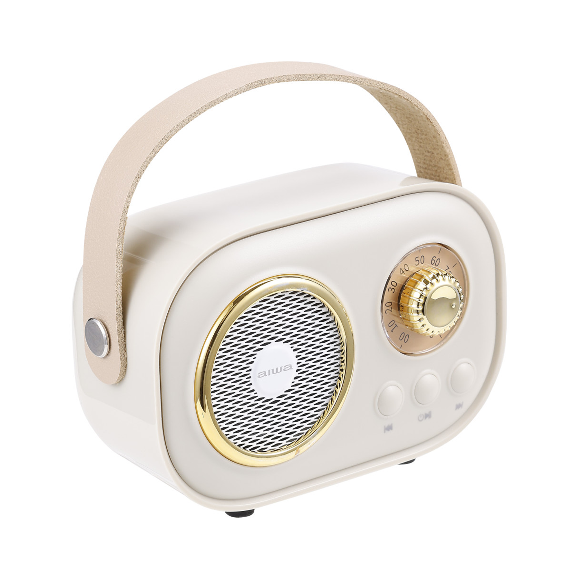 Wireless Light-Up Karaoke Speaker with Two Microphones