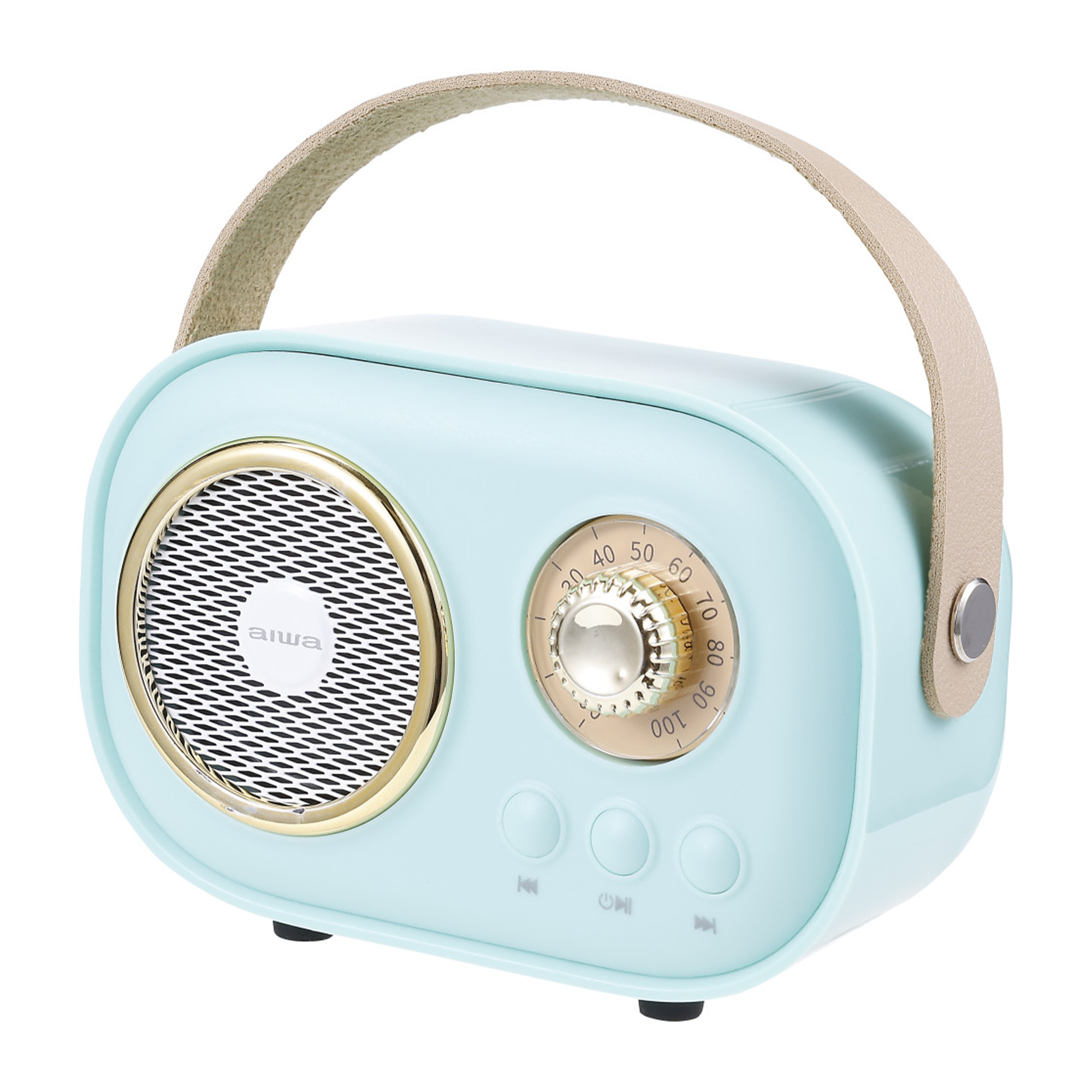 Wireless Light-Up Karaoke Speaker with Two Microphones