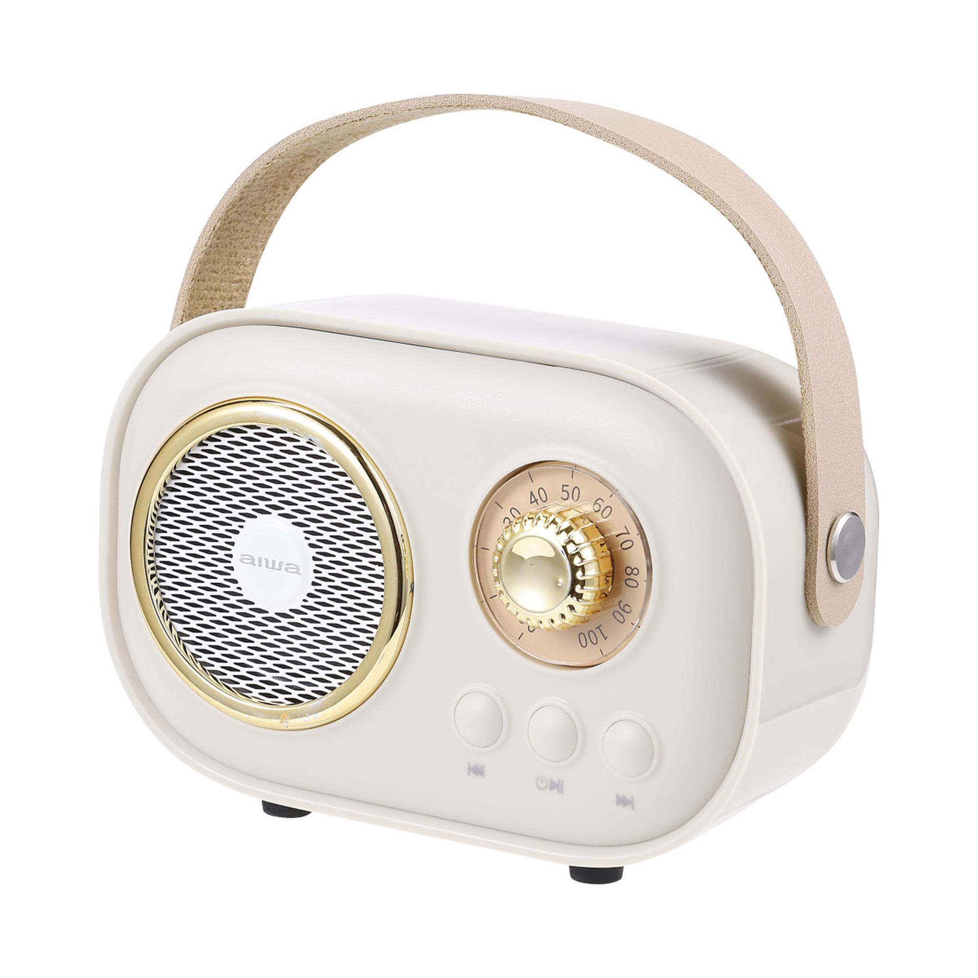 Wireless Light-Up Karaoke Speaker with Two Microphones